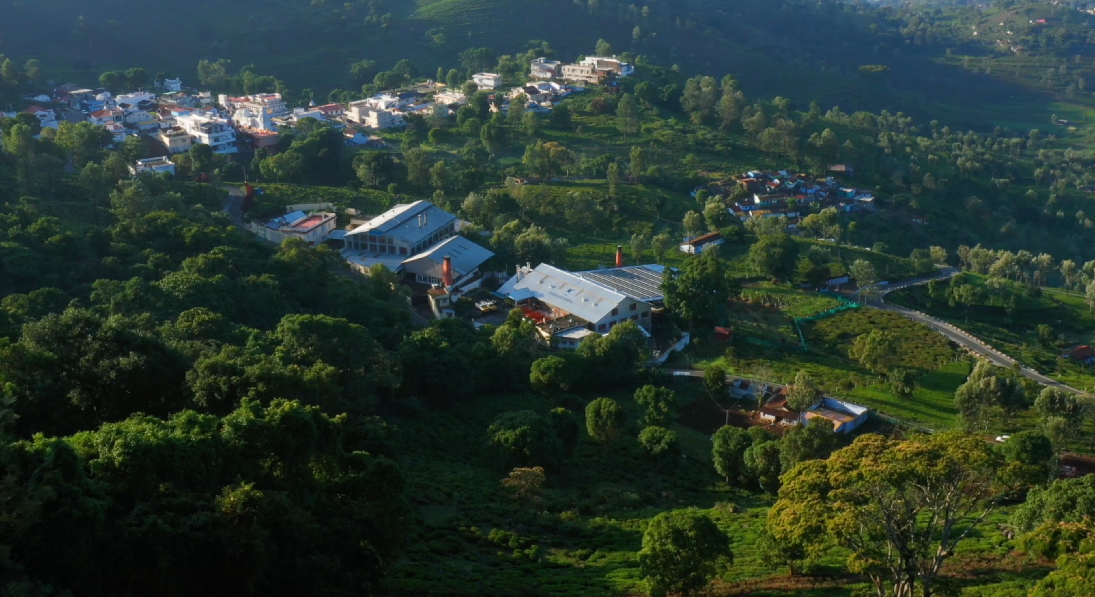 Sun-Kissed. Soul-Steeped